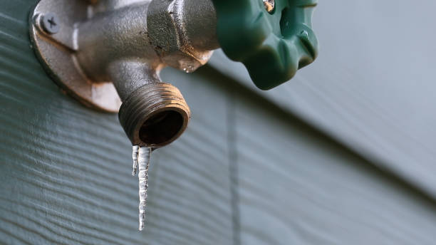 Best Boilers & Radiators  in Pine Castle, FL